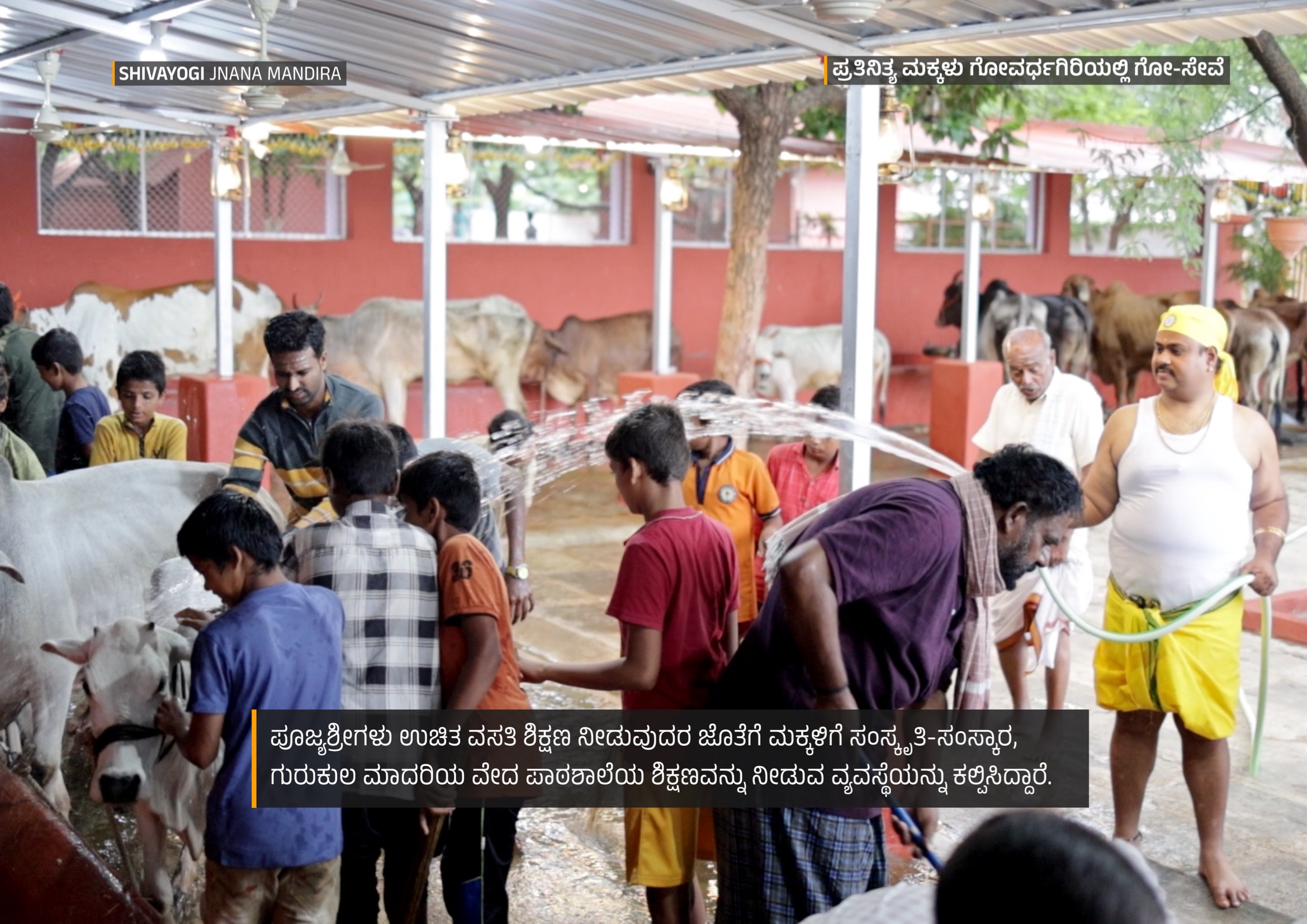 Goshala Cow Protection